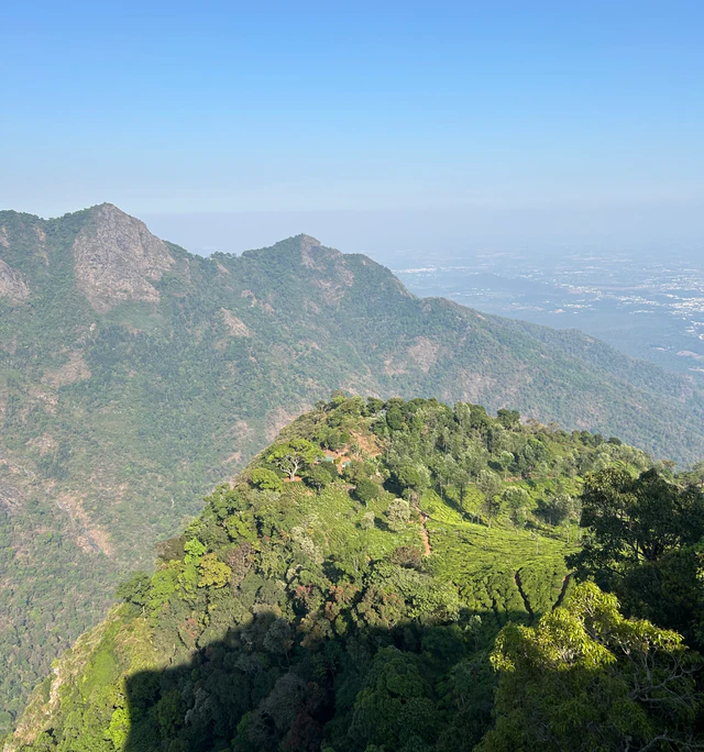 Green hills and tea plantations beneath a clear blue sky, photographed by Sumit